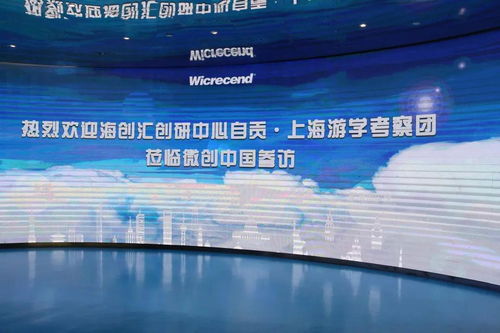 歡迎海創(chuàng)匯創(chuàng)研中心自貢 上海游學(xué)考察團(tuán)蒞臨微創(chuàng)中國(guó)參訪